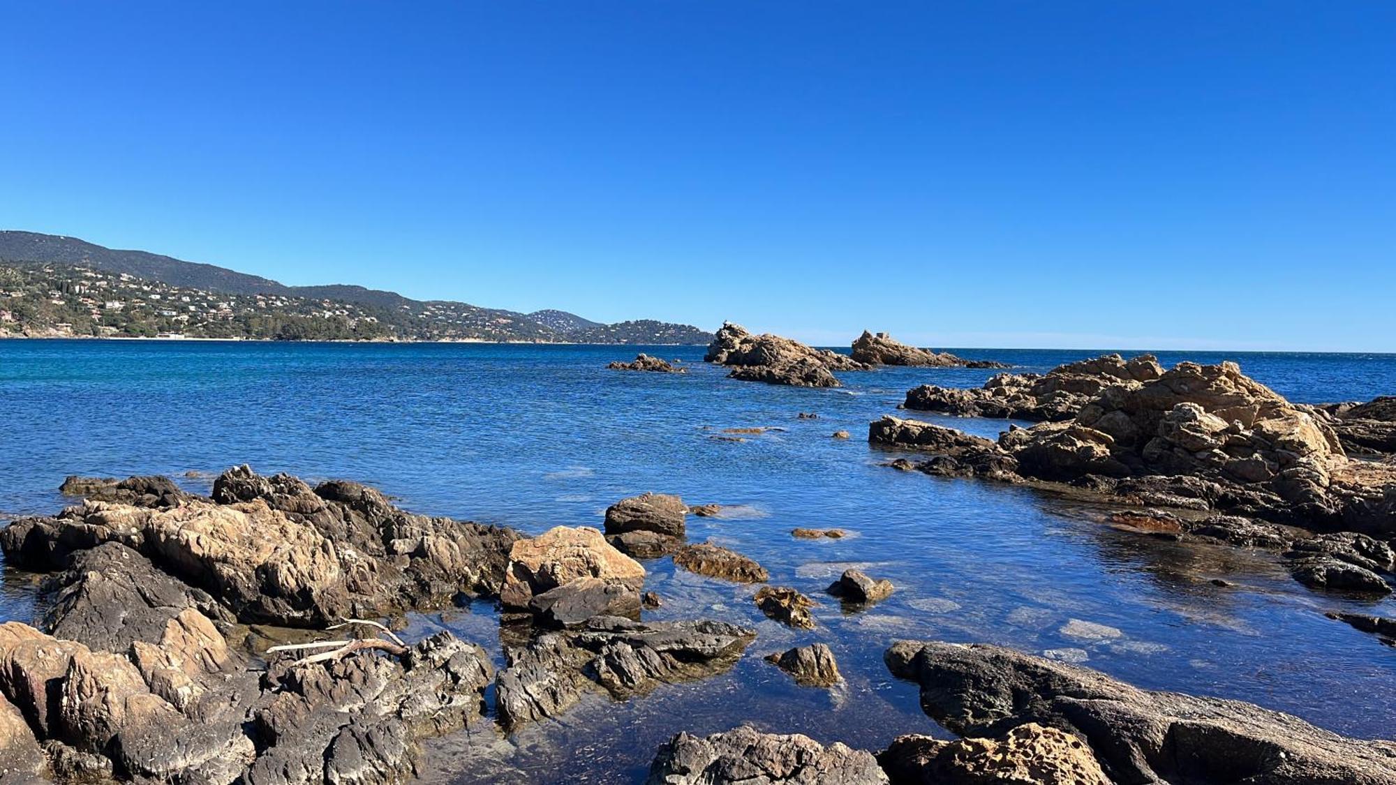 Port De Hyeres L'Etoile Marine Appartement Buitenkant foto