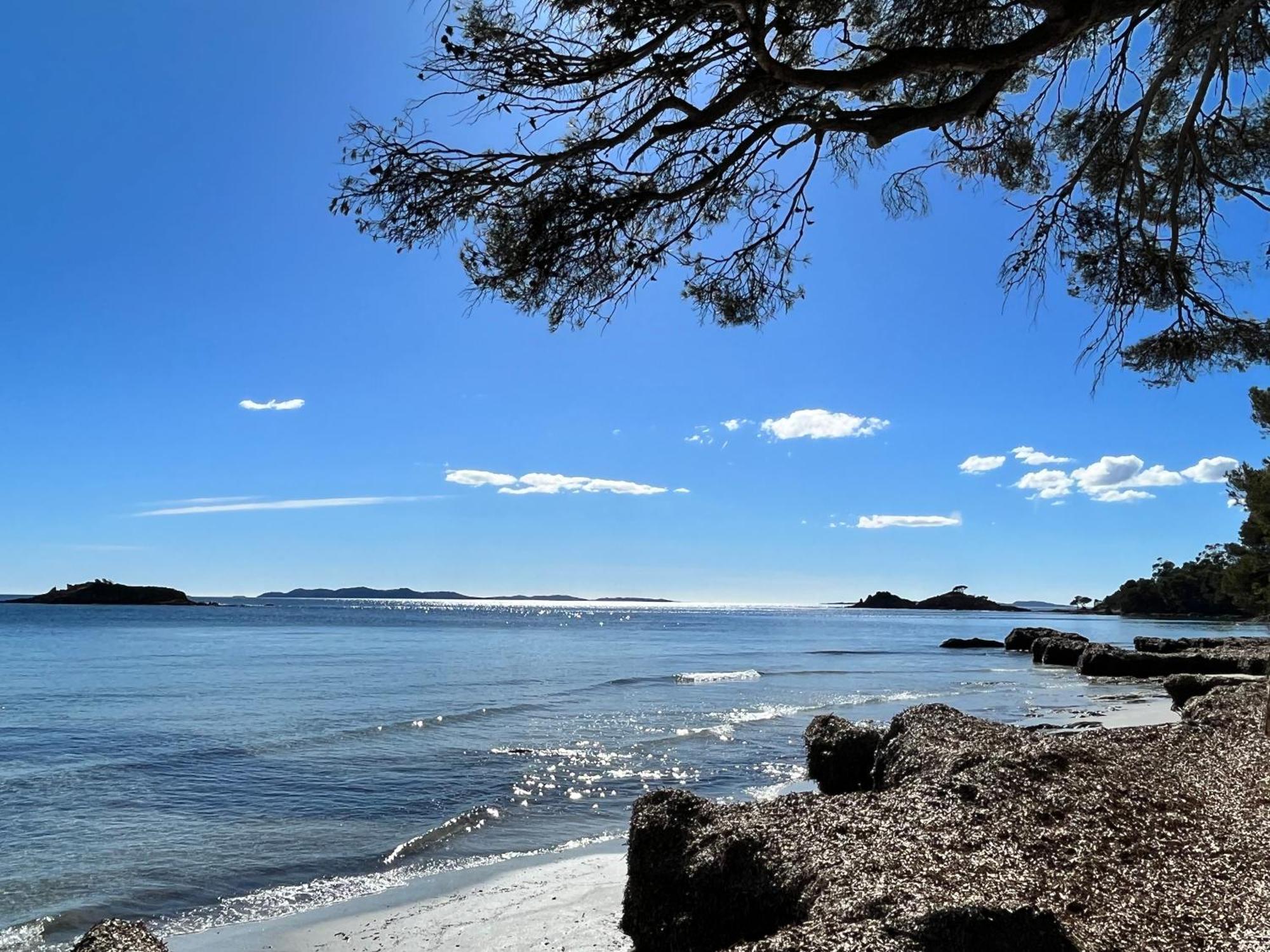 Port De Hyeres L'Etoile Marine Appartement Buitenkant foto